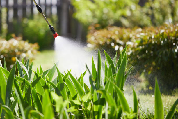 24/7 Emergency Mosquito Control experts in North Wilkesboro, NC