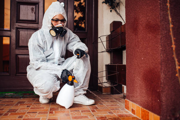 Reliable Mosquito Control contractor in North Wilkesboro, NC by Show Me Pest Control